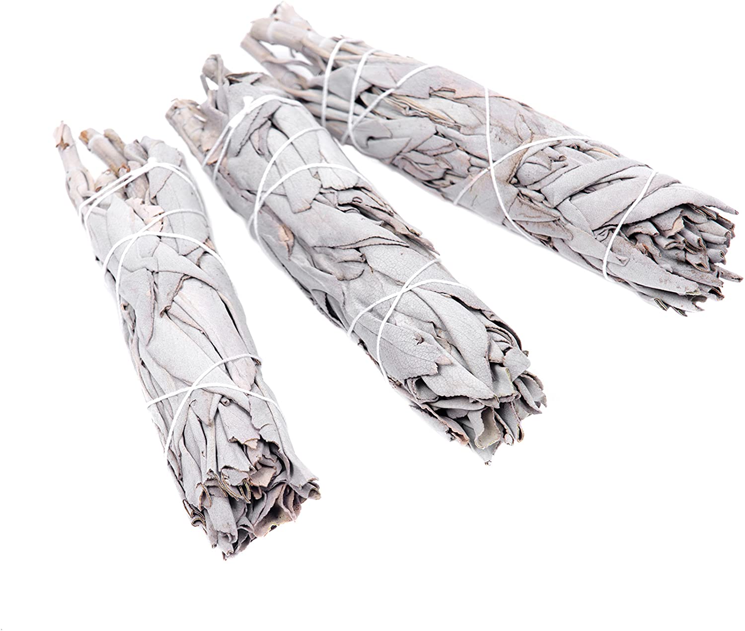 10 Atados De Salvia Blanca Salvia Apiana Mini Antorcha 10cm