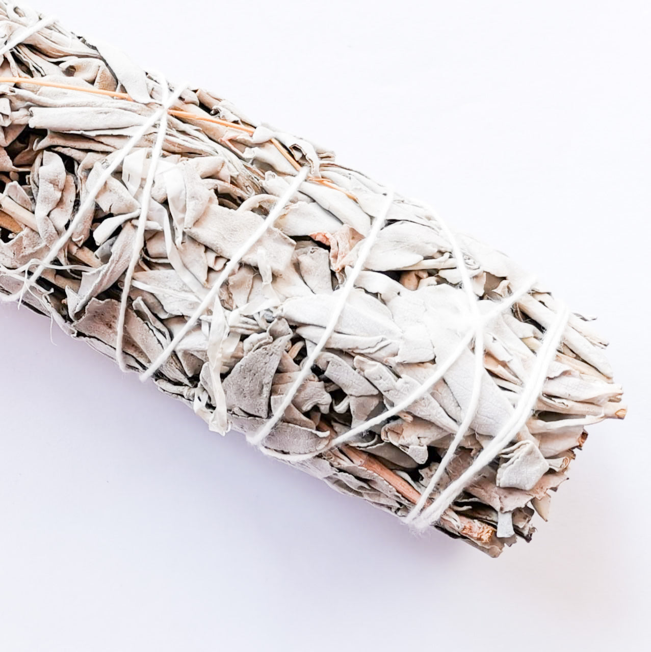 10 Atado de Salvia Blanca 23cm